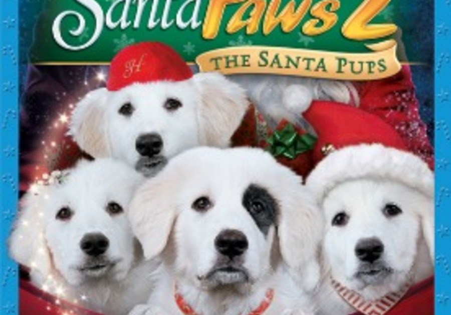 Santa paws