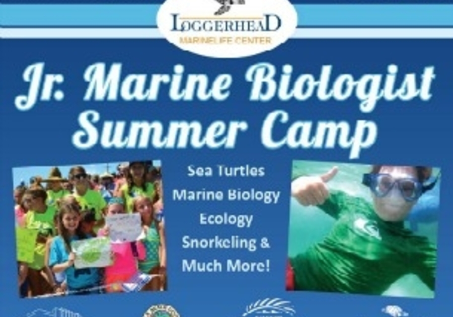 Loggerhead Marinelife Center's Junior Marine Biologist Summer Camp ...