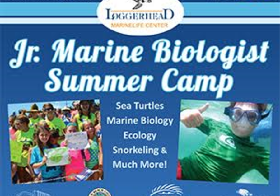 Loggerhead Marinelife Center's Junior Marine Biologist Summer Camp ...