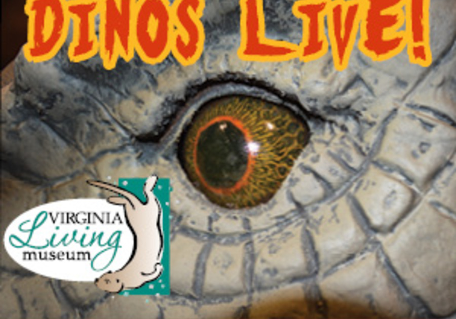 dinos live tour & taxis