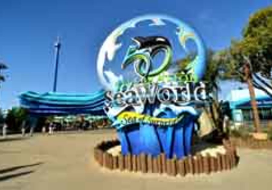 SeaWorld Parks Salutes Veterans with "Waves of Honor" Special Offer